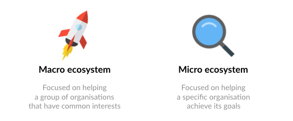 Business ecosystem: macro-level and micro-level