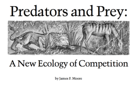 Business Ecosystem: A term drawn from the study of biology and social systems