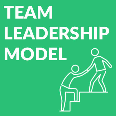 Team Leadership Model - Icon